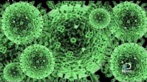 Petition: YOSHIHIRO KAWAOKA HAS ENGINEERED A STRONGER VERSION OF THE H1N1 VIRUS. THIS VERSION OF 
