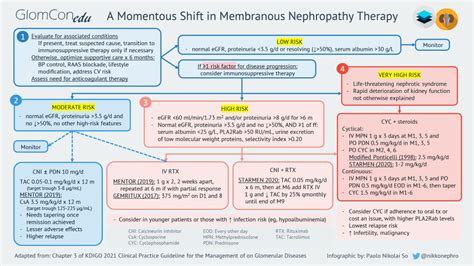 Membranous Nephropathy Treatment Infographic Glomcon Pubs