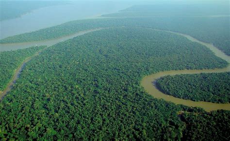 Countries Sharing The Amazon Rainforest Worldatlas
