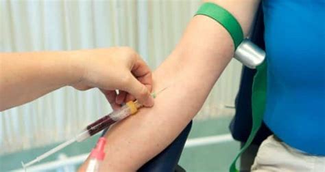 Blood Tests Understanding The Basics