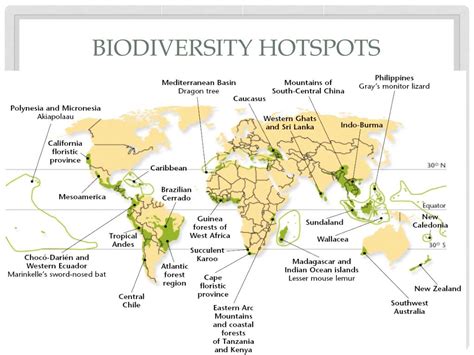 Ppt Biodiversity Hotspots Powerpoint Presentation Free Download Id