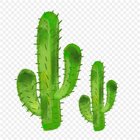Cartoon Cactus Clipart Png Vector Psd And Clipart With Transparent