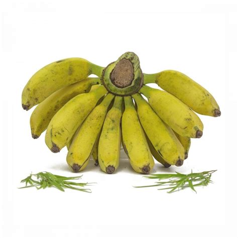 Buy Pisang Raja Approx800gjust Arrived Fruitsteps Online