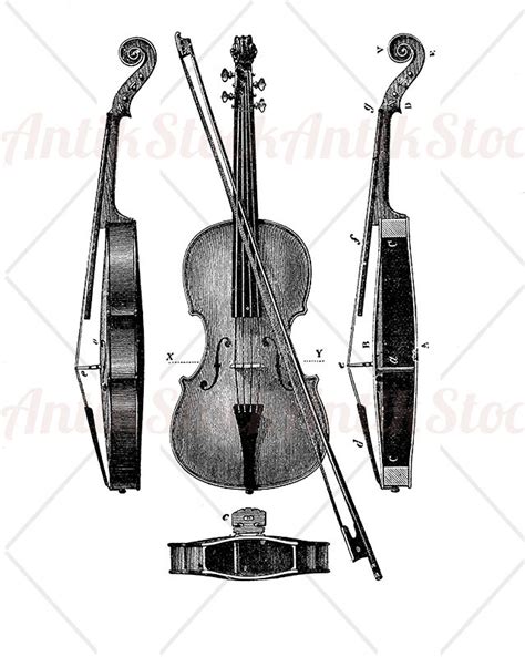 Violin Details Antikstock