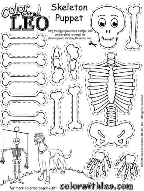 13 Best Images Of Printable Skeleton Worksheets