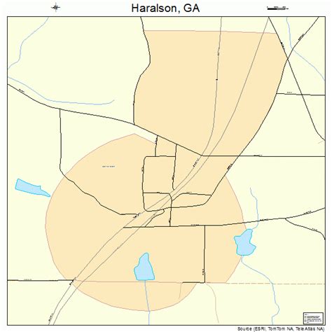 Haralson Georgia Street Map 1336528