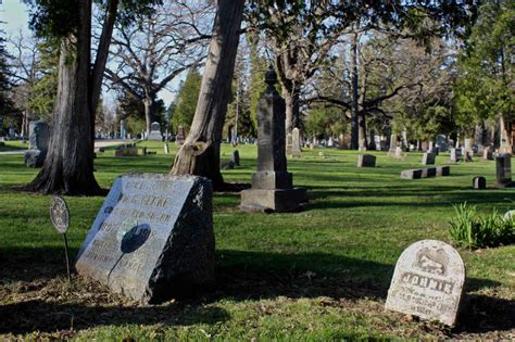 Forest Hill Cemetery A Guide