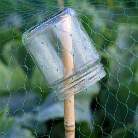How To Keep Birds Out Of Your Garden Hunker Garden Netting Veggie