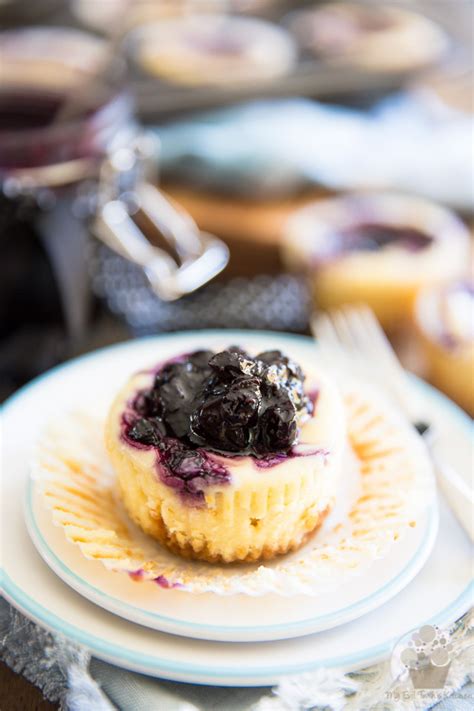 Mini Blueberry Cheesecakes • My Evil Twin S Kitchen