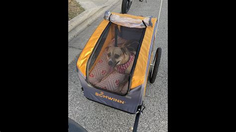 Daisy S First Ride