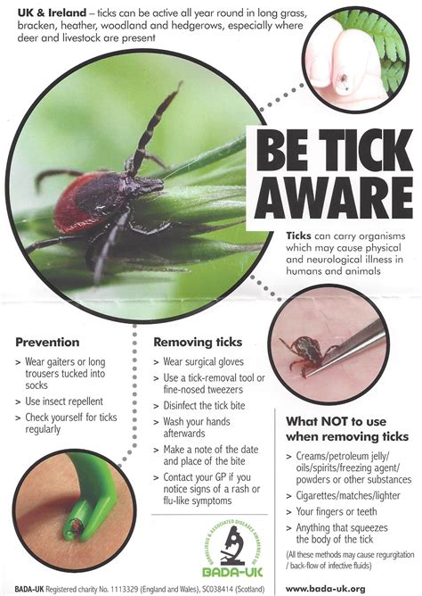 Be Tick Aware How To Prevent Tick Bites While Out Walking And Remove