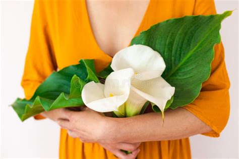 A Woman Holds A Bouquet Of Callas In Her Hands Stock Photo Image Of