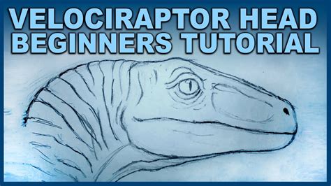 Raptor Head Drawing