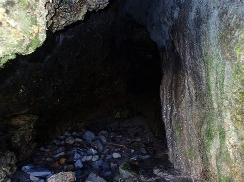 The Dark Damp Cave Seemed Perfect For Bats But I Had To Peek Inside