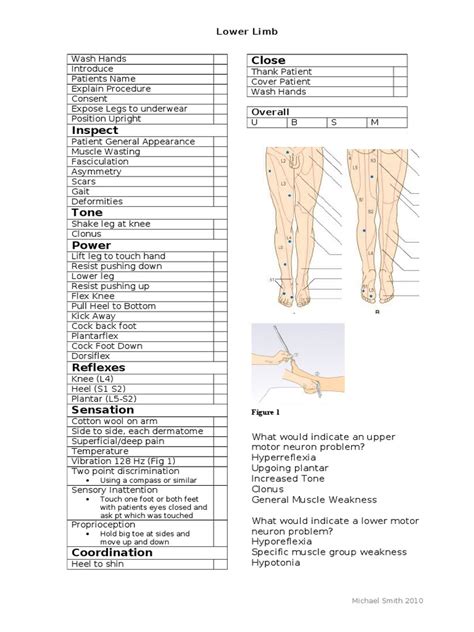 31187032 Lower Limb Osce Exam Checklistdoc