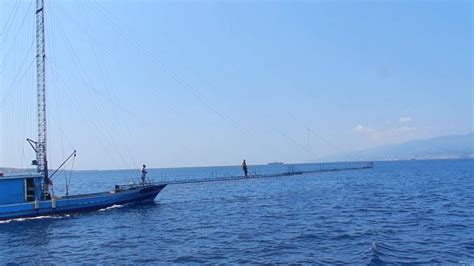 Strait Of Messina Swordfish Boats Youtube
