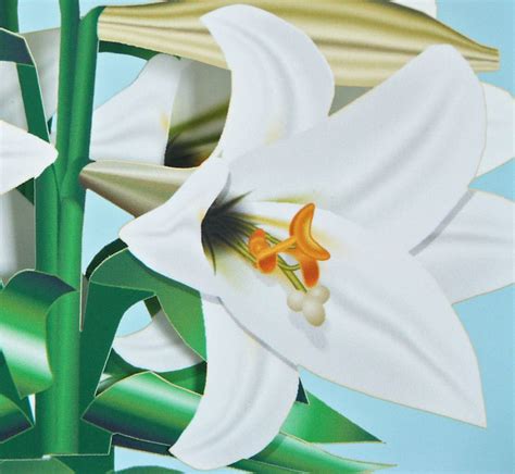 D White Lily Card Popup White Lilies Pop Up Flower Card Etsy
