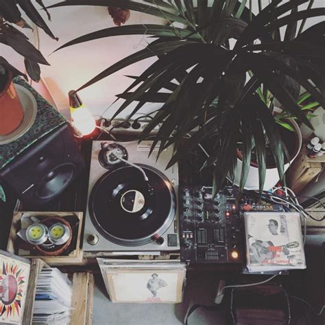 Home Grown A Tropical Music Paradise In Holland Vinyl Aesthetic