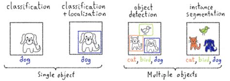 How To Train Yolov Instance Segmentation With Custom Data Vrogue