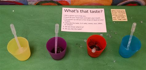 Sense Of Taste Lesson Plan Kindergarten Kindergarten Lesson Plans