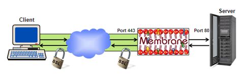 Ssltls Termination And Tunneling For Web Services