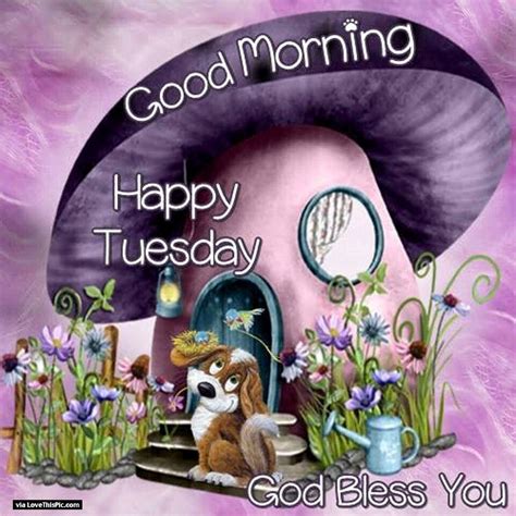 Good Morning Happy Tuesday God Bless Your Day Pictures Photos And