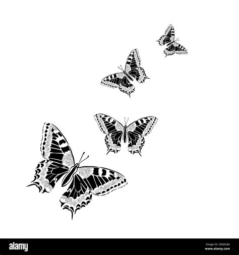 Top 48 Imagen Black And White Butterfly Background Thpthoanghoatham