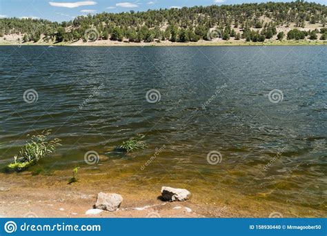 Greetings From Quemado Lake New Mexico Stock Photo Image Of Scenic