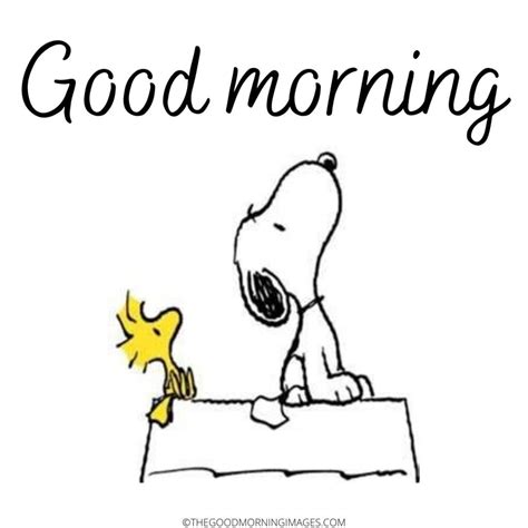40 Good Morning Snoopy Images Good Morning Wishes