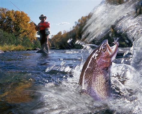Fly Fishing For Trout Horizontal Photograph By Burton Mcneely