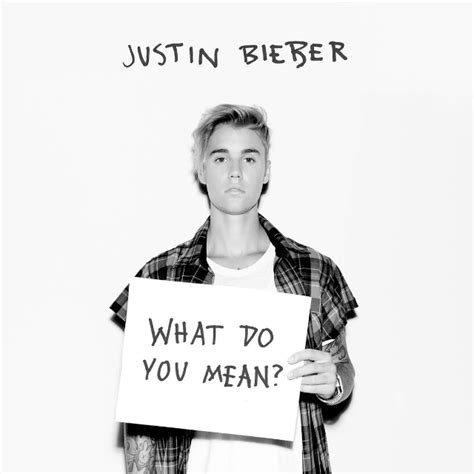 Justin Biebers New Single What Do You Mean Is Really Great Stereogum