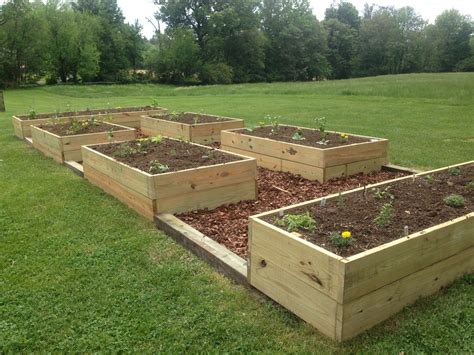 Incredible How To Plant Vegetable Plants In A Raised Bed