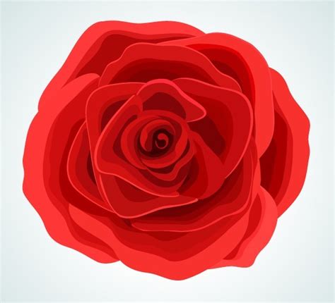Free Red Rose Flower Vector Illustration Titanui