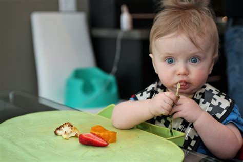 Baby Led Weaning Piramide Nutricional Blw Primeras Comidas En Images