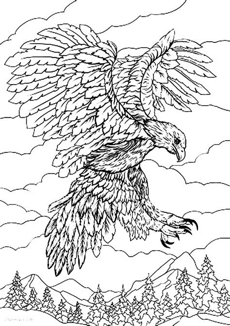 Desenhos de Águia para colorir Pop Lembrancinhas