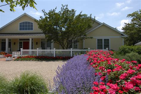 Meet *broliq a pet for adoption. Harbortown Residence | McHale Landscape