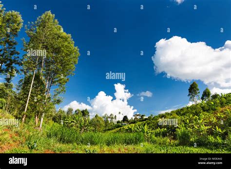 Agriculture In A Beautiful Valley In The Green Highlands North Of