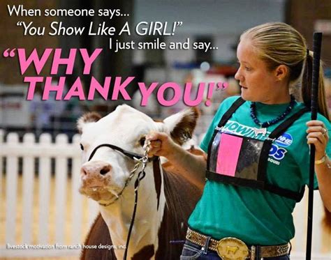 Like A Girl Show Cattle Showing Livestock Show Cows