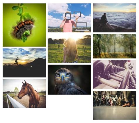 16 best wordpress photo gallery plugins compared with examples kauan carvacha