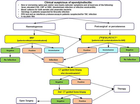 Diagnostic Flow Chart To Be Followed In Case Of Suspected Haematogenous