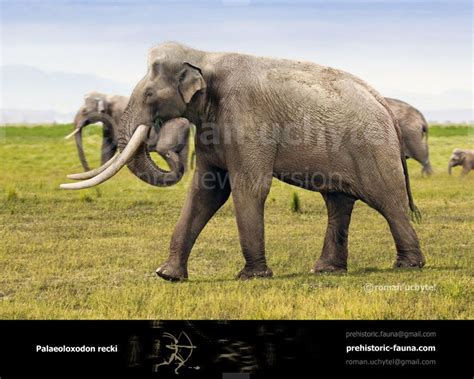 Palaeoloxodon Recki Elephant Species Prehistoric Animals Extinct