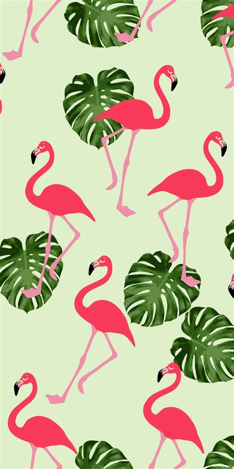 Pink Flamingo Wallpaper Myphonewalls