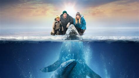 Your Movie Buddy: Review Vault: BIG MIRACLE