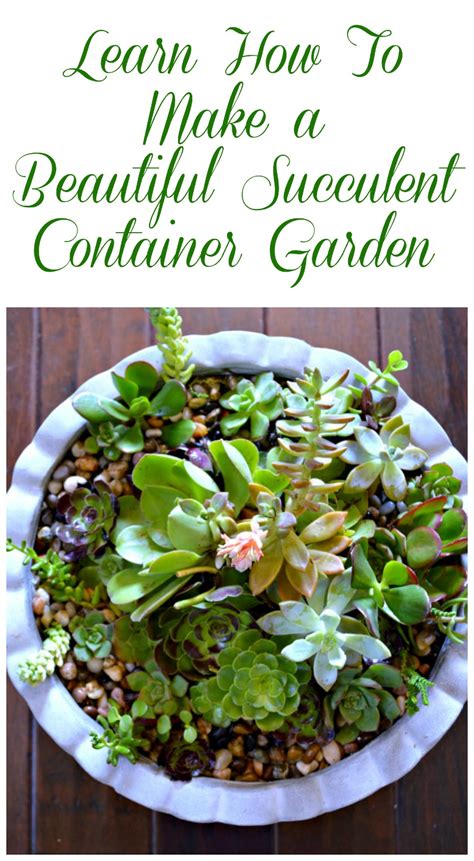 Diy Succulent Container Garden My Uncommon Slice Of Suburbia