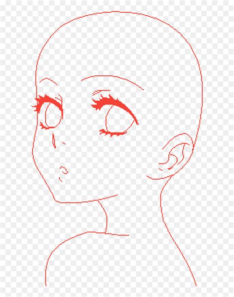Anime Face Base Female Hd Png Download Vhv Anime Face Drawing