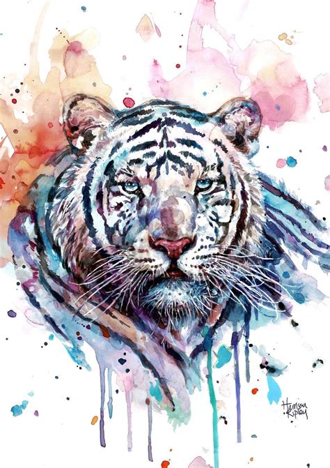 White Tiger Print By Harrison Ripley Etsy Uk Sea Turtle Print