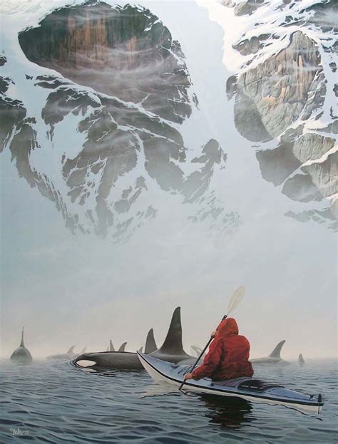 Kayaking With Killer Whales Pictures Photos And Images For Facebook