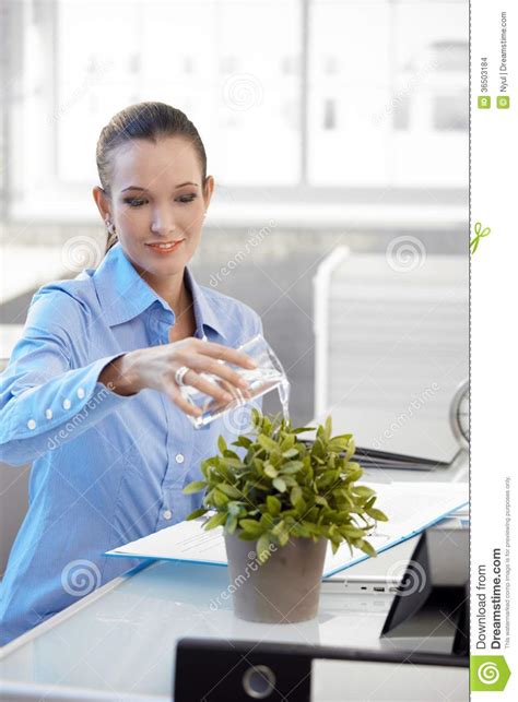 2020 2021 adambrody comedy film films folder foldericon ico icon movie movies png promising thriller windows windowsicon woman young conniebritton boburnham careymulligan alisonbrie promisingyoungwoman promisingyoungwoman2020 promisingyoungwomanmovie. Smiling Office Girl Watering Plant Stock Images - Image ...