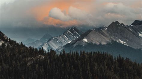 Download Wallpaper 1366x768 Mountains Forest Clouds Mountain Range