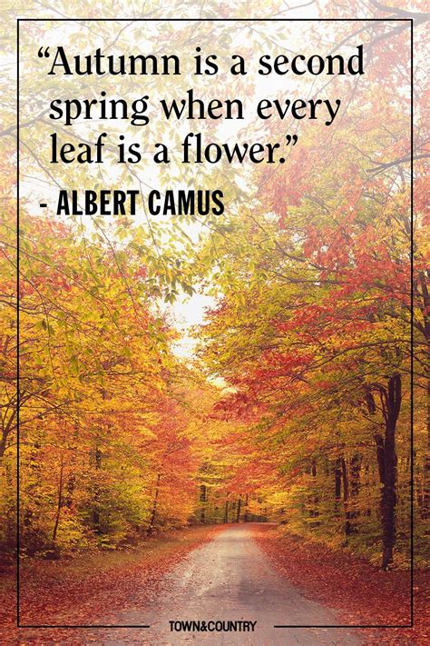 These Autumnal Quotes Will Put You In The Mood For Fall Autumn Quotes